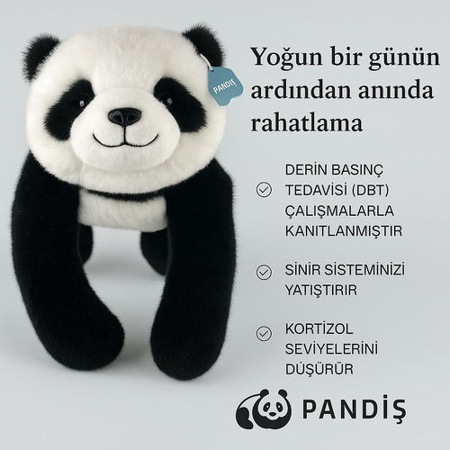PANDİŞ