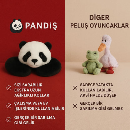 PANDİŞ