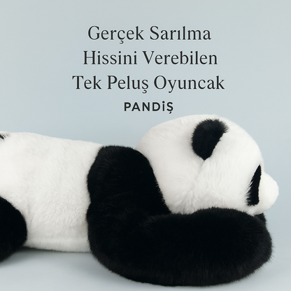 PANDİŞ