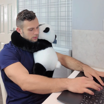 PANDİŞ