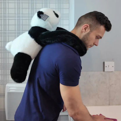 PANDİŞ